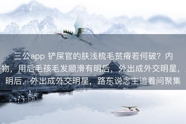 三公app 铲屎官的肤浅梳毛贫瘠若何破？内行保举这款宠物梳毛好物，用后毛孩毛发顺滑有明后，外出成外交明星，路东说念主追着问聚集