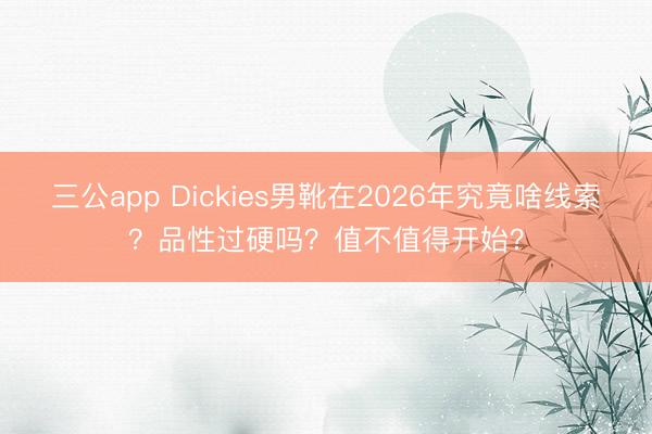 三公app Dickies男靴在2026年究竟啥线索？品性过硬吗？值不值得开始？