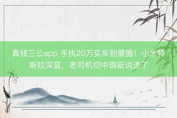 真钱三公app 手执20万买车别蒙圈！小米特斯拉深蓝，老司机切中瑕疵说透了