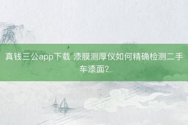 真钱三公app下载 漆膜测厚仪如何精确检测二手车漆面?