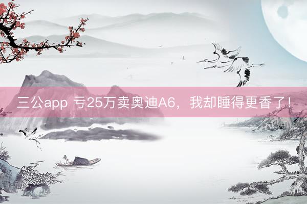三公app 亏25万卖奥迪A6,我却睡得更香了!