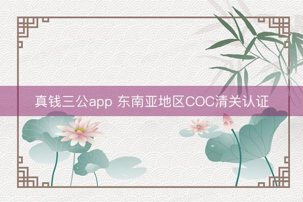 真钱三公app 东南亚地区COC清关认证