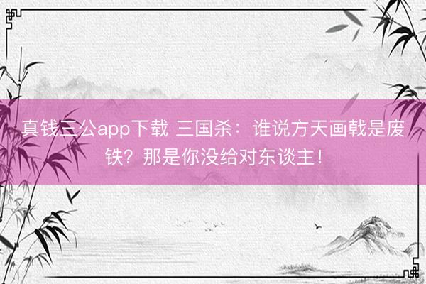 真钱三公app下载 三国杀:谁说方天画戟是废铁?那是你没给对东谈主!