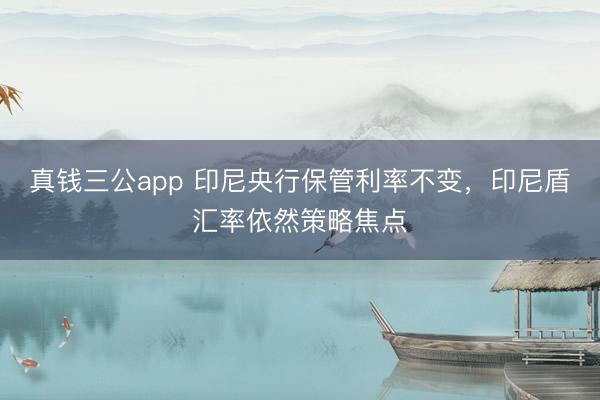 真钱三公app 印尼央行保管利率不变，印尼盾汇率依然策略焦点