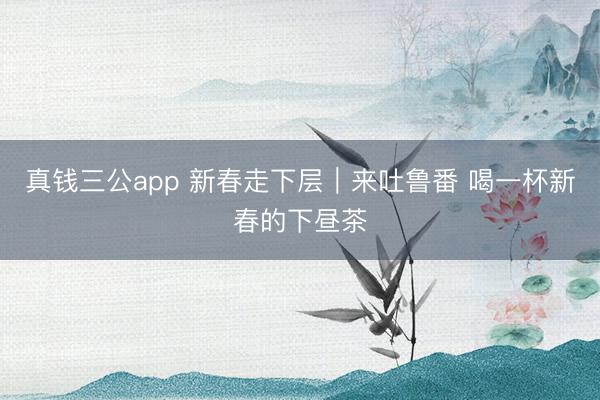 真钱三公app 新春走下层|来吐鲁番 喝一杯新春的下昼茶