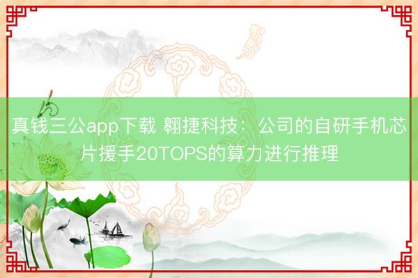 真钱三公app下载 翱捷科技：公司的自研手机芯片援手20TOPS的算力进行推理