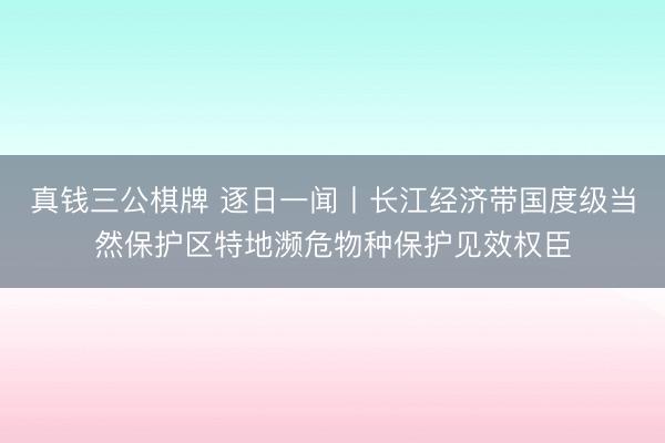 真钱三公棋牌 逐日一闻丨长江经济带国度级当然保护区特地濒危物种保护见效权臣
