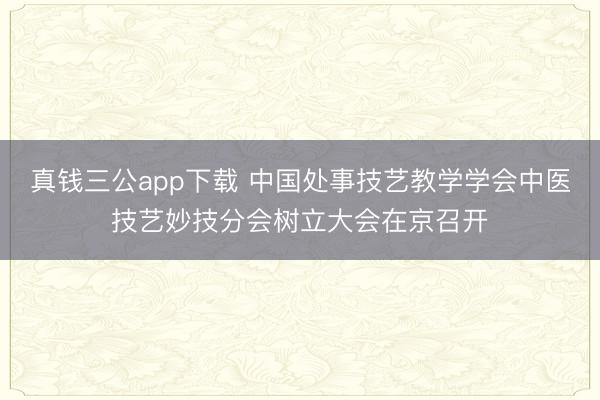 真钱三公app下载 中国处事技艺教学学会中医技艺妙技分会树立大会在京召开