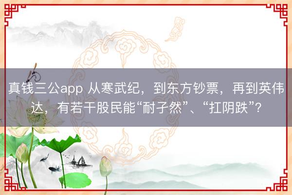 真钱三公app 从寒武纪，到东方钞票，再到英伟达，有若干股民能“耐孑然”、“扛阴跌”？