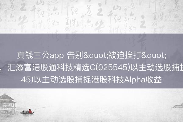 真钱三公app 告别"被迫挨打"！主、被迫基金对比，汇添富港股通科技精选C(025545)以主动选股捕捉港股科技Alpha收益