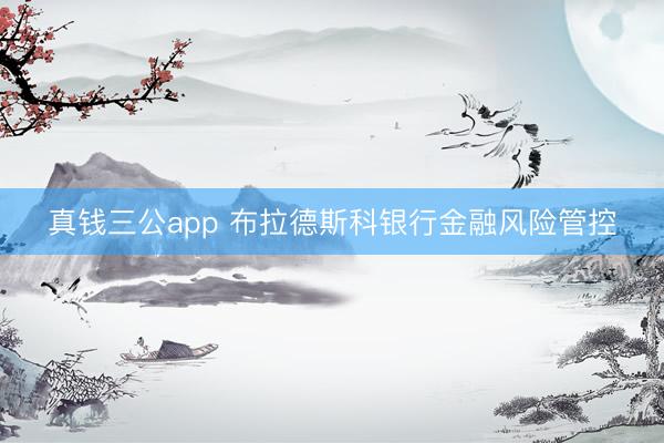 真钱三公app 布拉德斯科银行金融风险管控