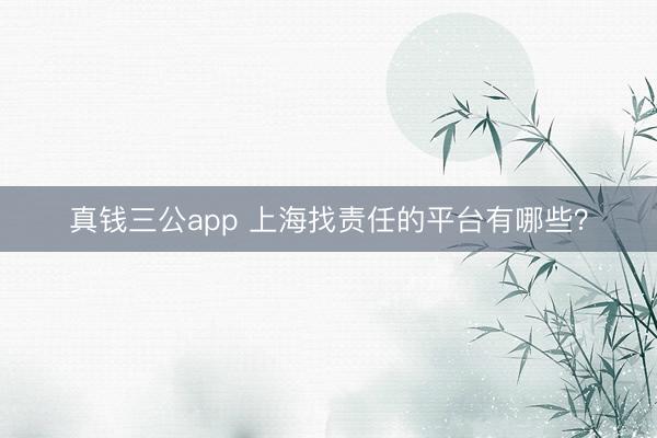 真钱三公app 上海找责任的平台有哪些？