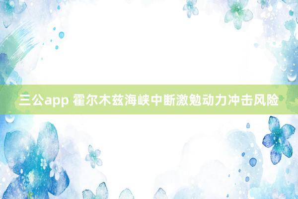 三公app 霍尔木兹海峡中断激勉动力冲击风险