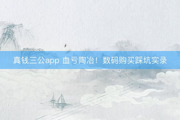 真钱三公app 血亏陶冶！数码购买踩坑实录