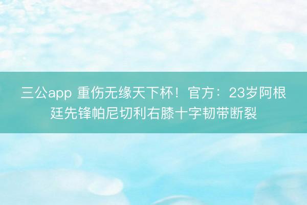 三公app 重伤无缘天下杯！官方：23岁阿根廷先锋帕尼切利右膝十字韧带断裂