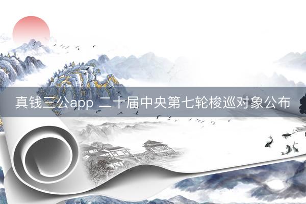 真钱三公app 二十届中央第七轮梭巡对象公布
