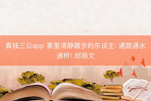 真钱三公app 雾里清静踱步的东谈主: 通路通水通桥! 郑丽文