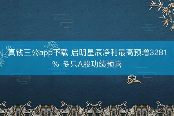 真钱三公app下载 启明星辰净利最高预增3281% 多只A股功绩预喜