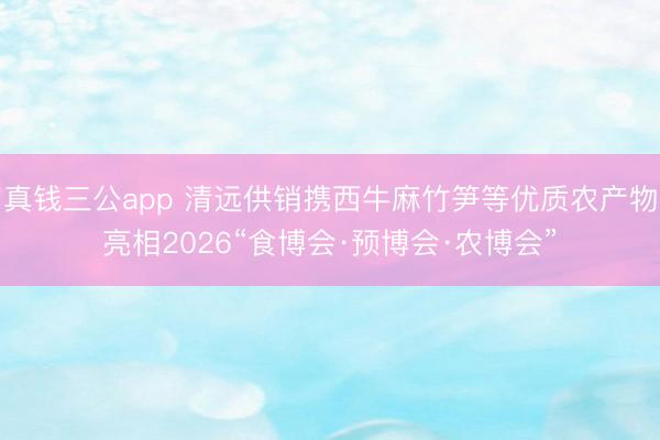 真钱三公app 清远供销携西牛麻竹笋等优质农产物亮相2026“食博会·预博会·农博会”
