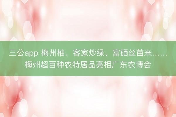 三公app 梅州柚、客家炒绿、富硒丝苗米……梅州超百种农特居品亮相广东农博会