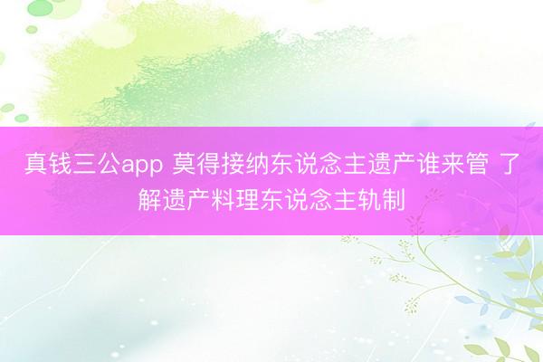 真钱三公app 莫得接纳东说念主遗产谁来管 了解遗产料理东说念主轨制