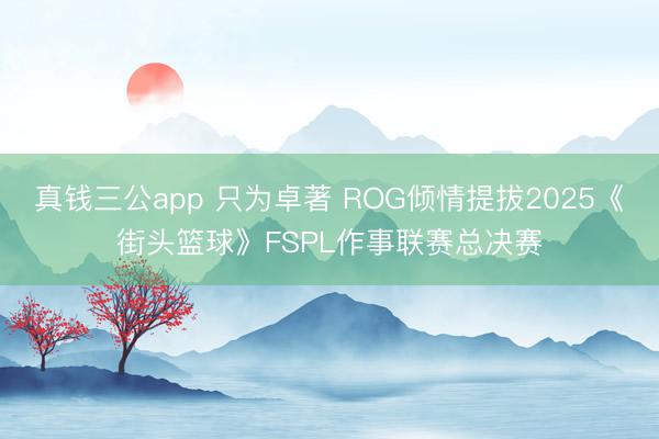 真钱三公app 只为卓著 ROG倾情提拔2025《街头篮球》FSPL作事联赛总决赛