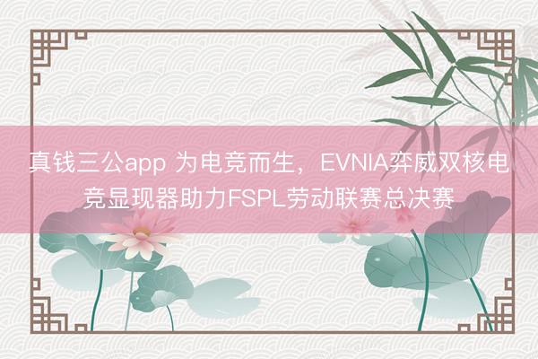 真钱三公app 为电竞而生,EVNIA弈威双核电竞显现器助力FSPL劳动联赛总决赛