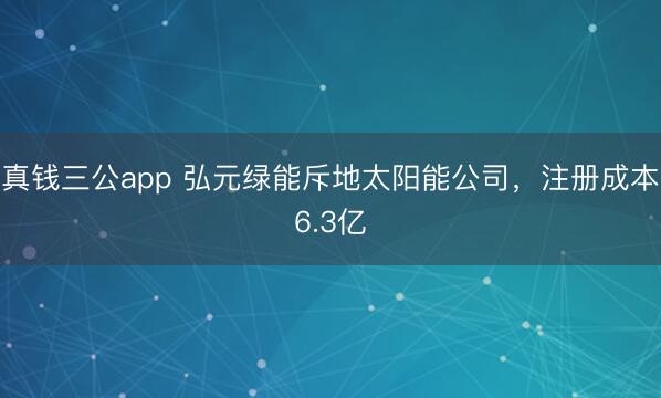 真钱三公app 弘元绿能斥地太阳能公司，注册成本6.3亿