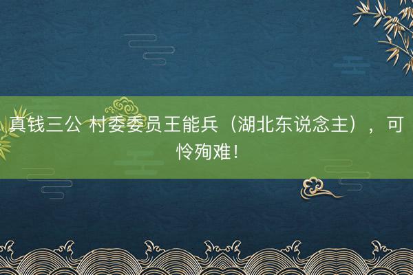 真钱三公 村委委员王能兵（湖北东说念主），可怜殉难！