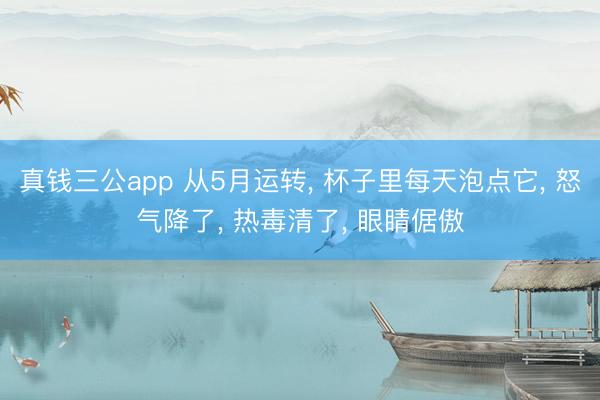 真钱三公app 从5月运转， 杯子里每天泡点它， 怒气降了， 热毒清了， 眼睛倨傲