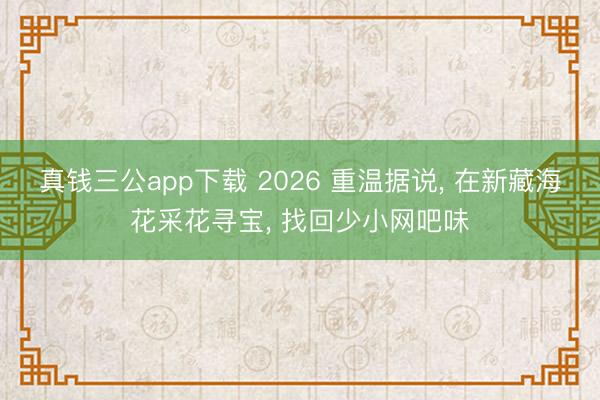 真钱三公app下载 2026 重温据说， 在新藏海花采花寻宝， 找回少小网吧味